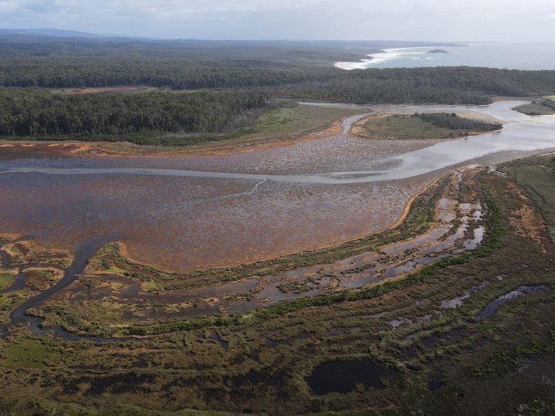 Lament for Estuaries