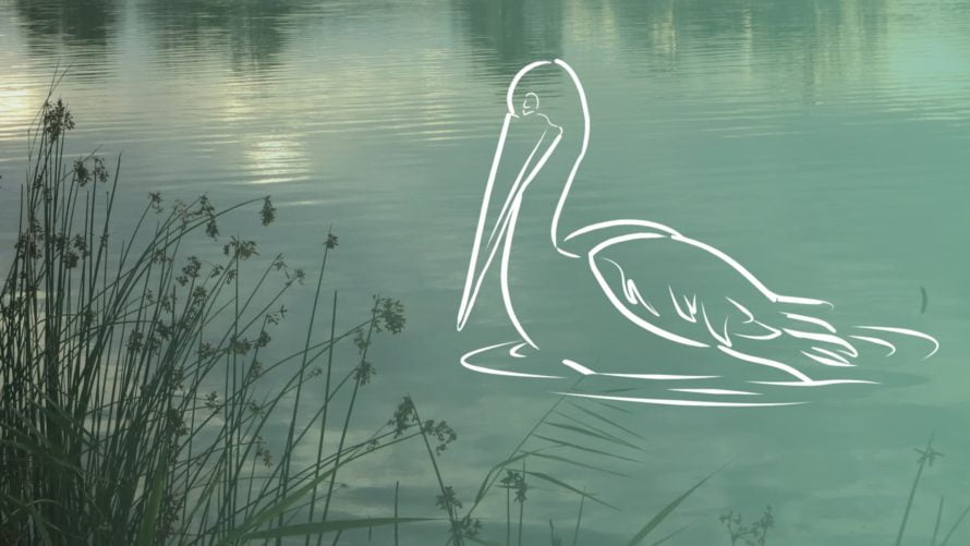 Coorong Environmental Trust Bill