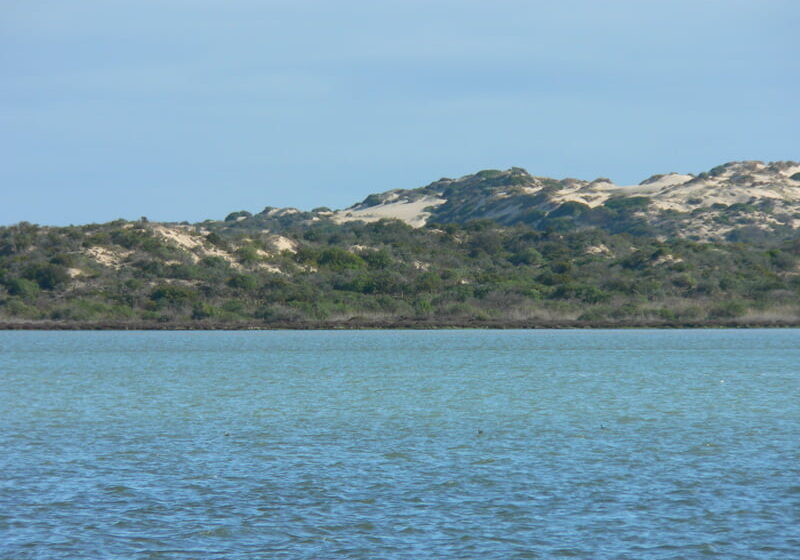 P1000502 Coorong National Park