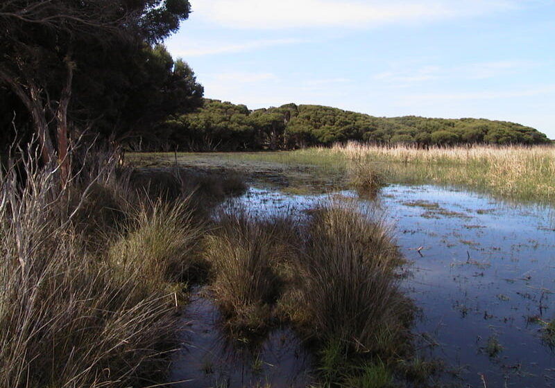 Salt-Lagoon-5 Salt Lagoon, Coorong