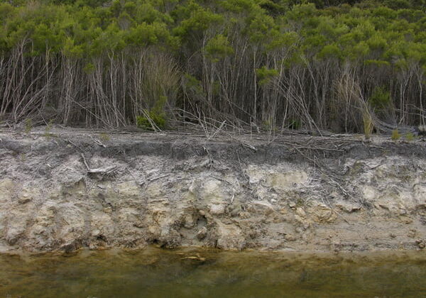Soil-profile,-Northern-drain-entry Soil Profile, Northern Drain, Coorong