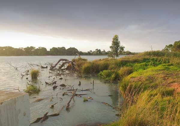 Visit-the-Coorong River Murray, Coorong Environmental Trust